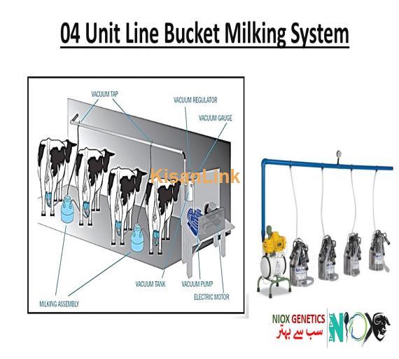 Milking Machines for Cow & Buffalo