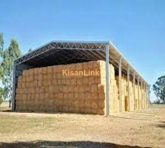 Cow Sheds Maker, Dairy Farm Sheds and Feed Storage Sheds