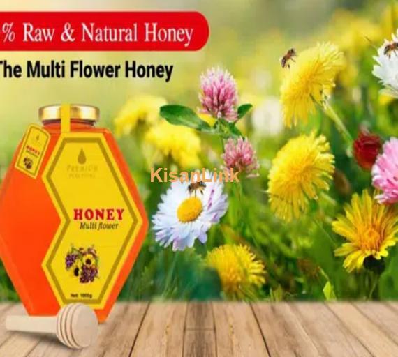 100% Pure Honey Natural Flowers Rs 1500 KG