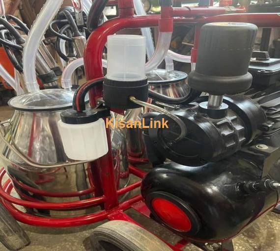 Cow Milking Machine I Dairy Milking Solution I Milking Machine