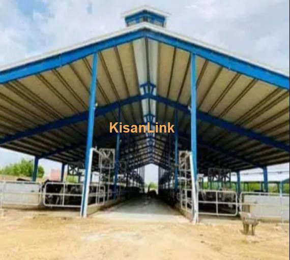 Low cost dairy Farm shed