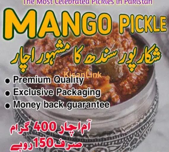 آم کا اچار Mango Pickles