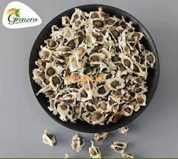 Australian MOMAX-3 Moringa (Sohanjna) Fresh Seed Rs.500 For Sale