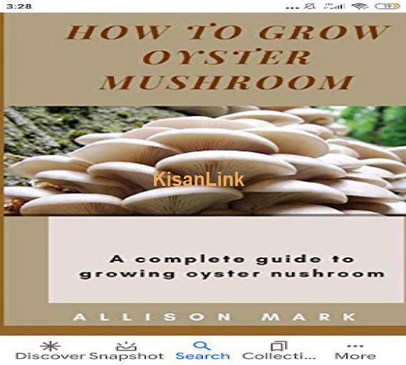 Mushroom Spawn (seeds) sale  in Pakistan. Rs.1000