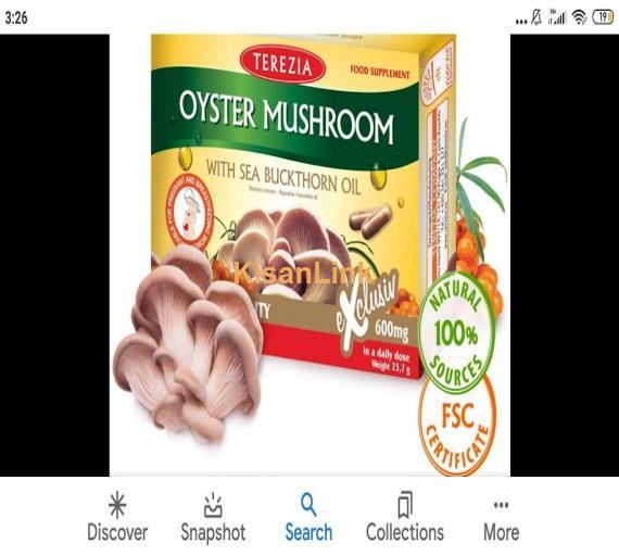 Mushroom Spawn (seeds) sale  in Pakistan. Rs.1000