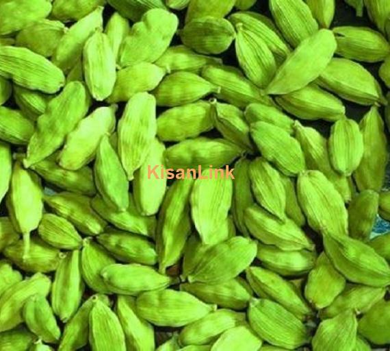 green cardamom for sale. whatsap +255742638024