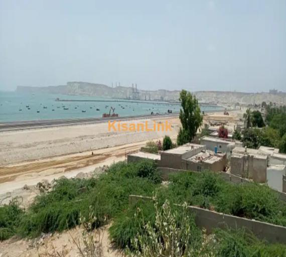 Vip Location 8 Kanal Zameen Gwadar