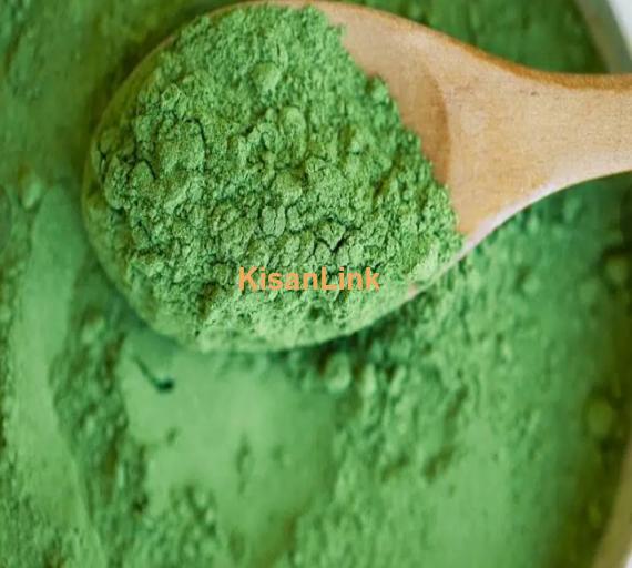 MORINGA PAKISTAN ORGANIC AND PURE: MORINGA OLEIFERA POWDER IN KARACHI