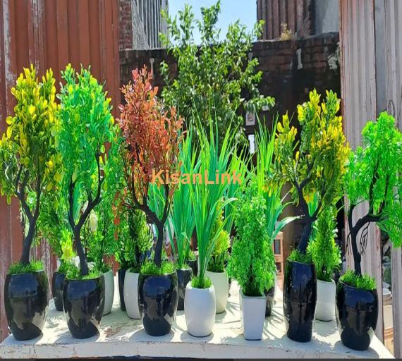 Decoration pieces of plants