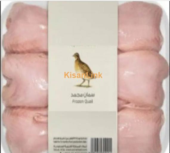 Fresh frozen quail meat available in Karachi