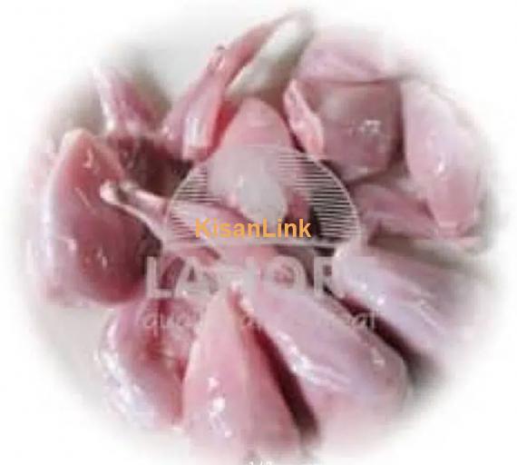 Fresh frozen quail meat available in Karachi