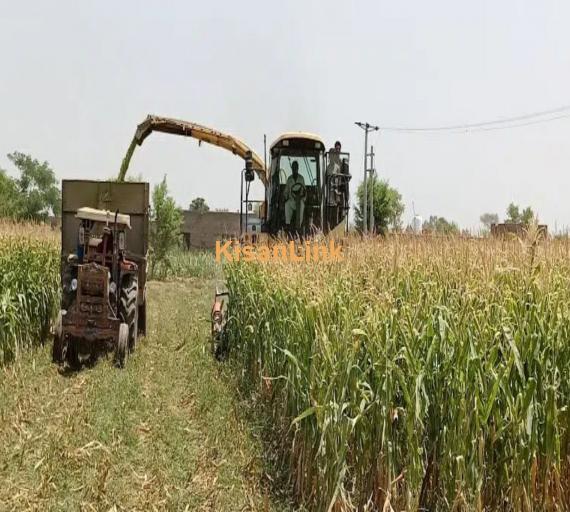 Harvester machine for silage cutting