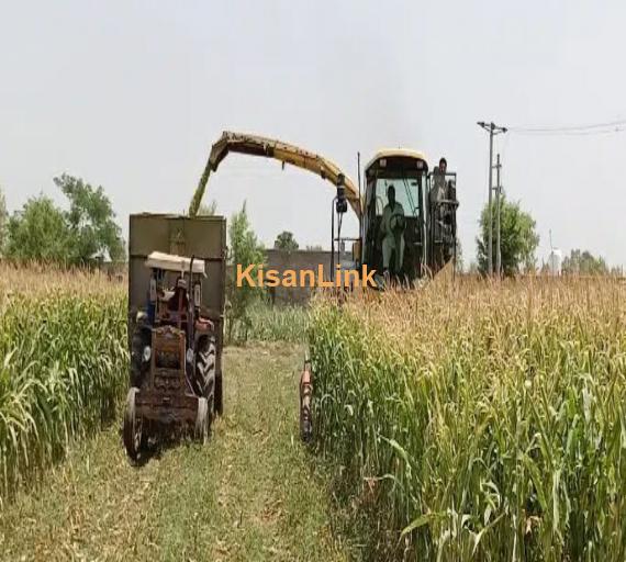 Harvester machine for silage cutting