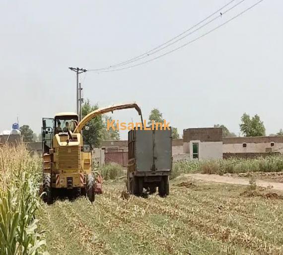 Harvester machine for silage cutting