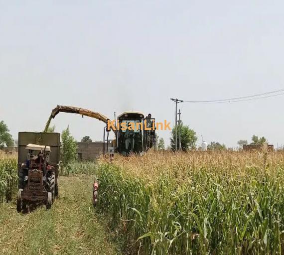 Harvester machine for silage cutting