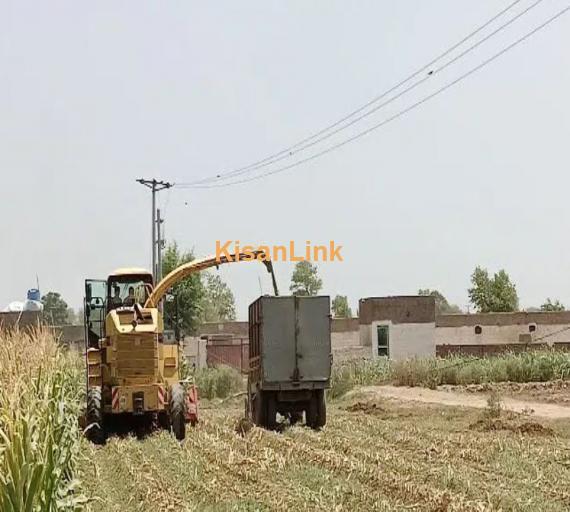 Harvester machine for silage cutting