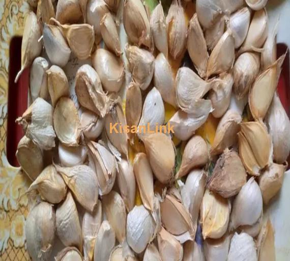 جی 1 گارلک 100 فیصد خشک G1 Garlic 100% dry