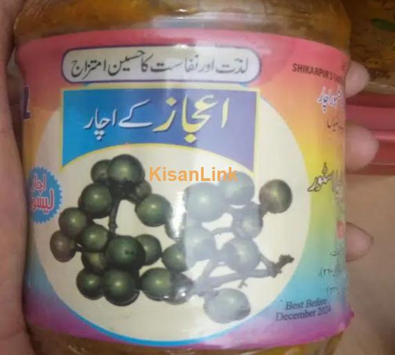 Shikarpuri Achaar Aijaz Pickle