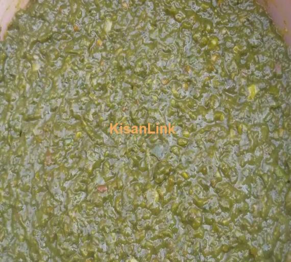 Shikarpuri Achaar Aijaz Pickle