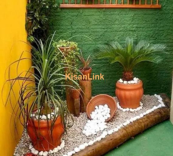 Al-Haider Nursery Indoor plansts Garden Decoration gardening metrail