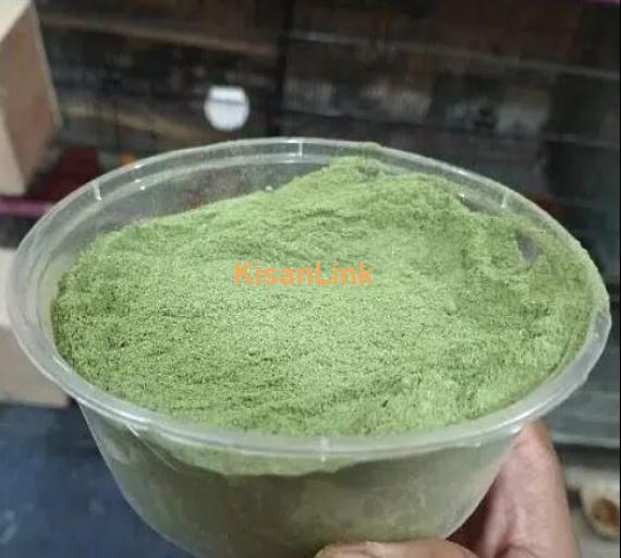 Moringa powder for sale