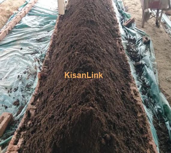 Vermi Compost - Organic Fertilizer