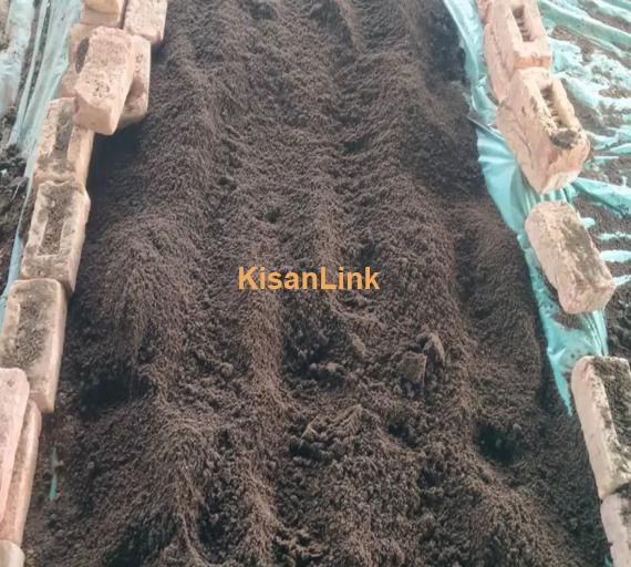 Vermi Compost - Organic Fertilizer