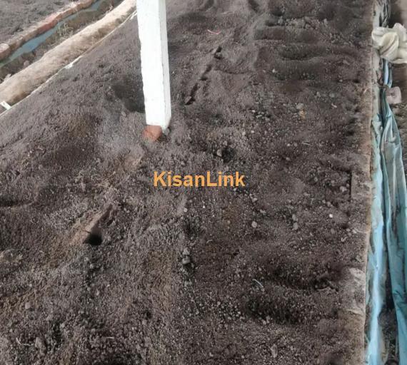 Vermi Compost - Organic Fertilizer