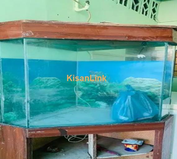 Fish Aquarium for sale urgent