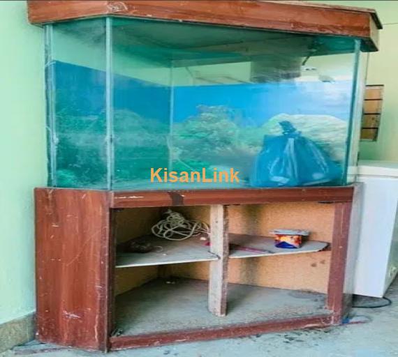 Fish Aquarium for sale urgent