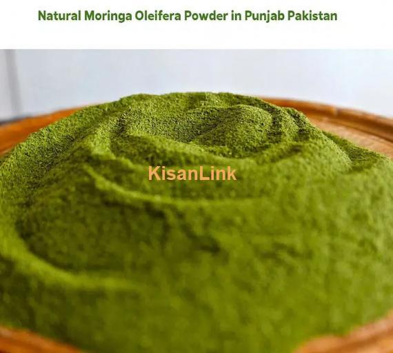 Moringa Powder Pakistan (Best Sale 2024): Fresh Moringa Oleifera