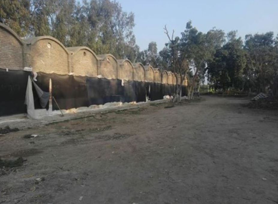 Poultry Farm for rent in Faisalabad