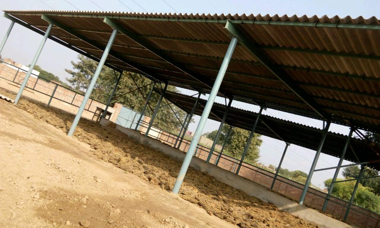 We offer construction of all types dairy shed